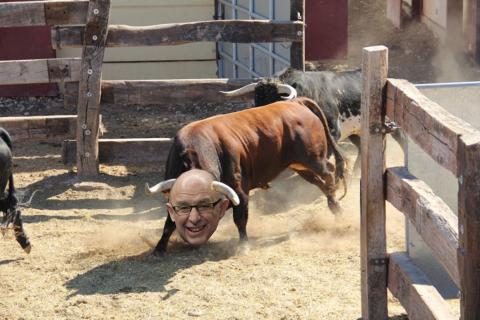 fotomontage bou entrant al corral en cara de Montoro